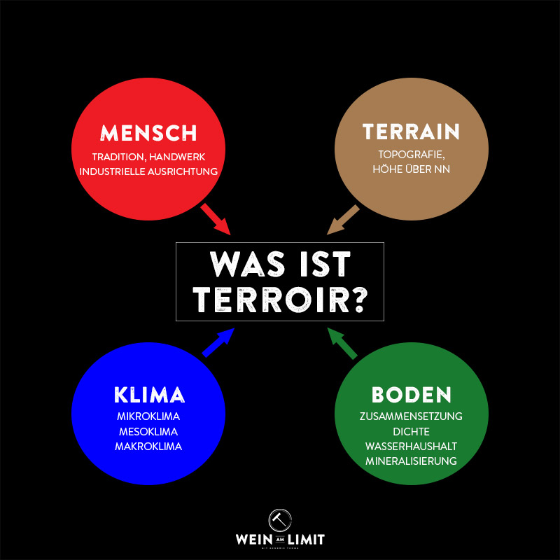Infografik - Was ist Terroir
