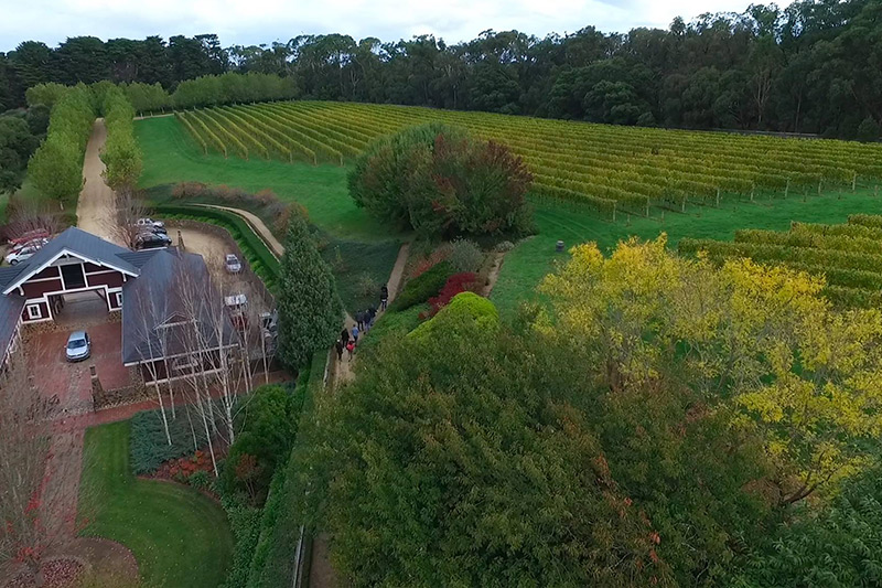 Ocean Eight -Weinbau in Australien nach europäischem Vorbild