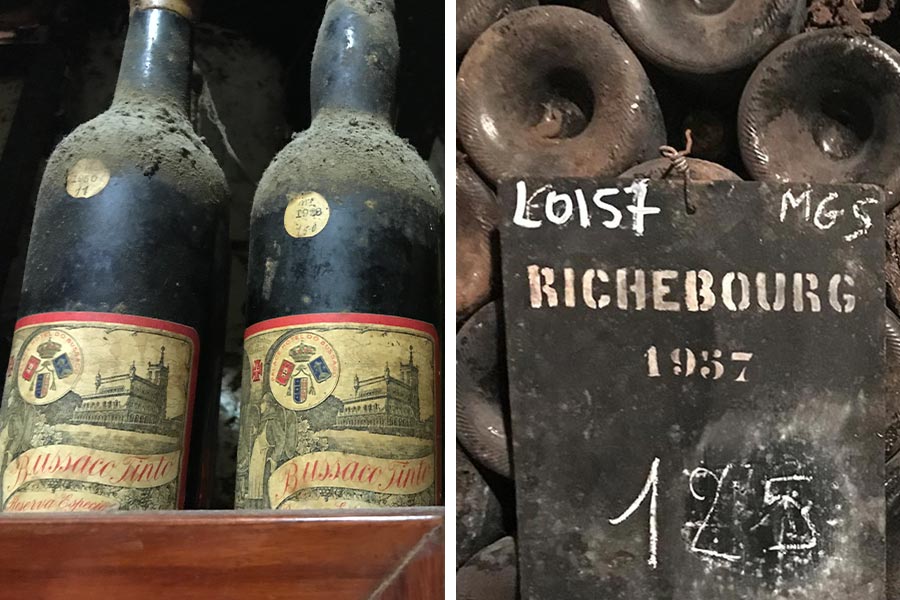 Alte Weinflaschen von Bussaco und Remoissenet