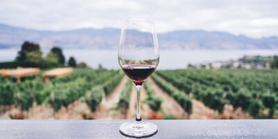 Fünf Jahre Weinhandel – Ein Resumée