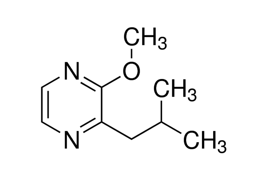 Chemische Formel des Aromastoffes 2-Isobutyl-3-methoxypyrazin