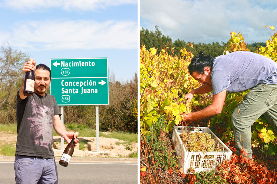 Roberto Henriquez betreibt Weinbau in den Regionen Itata, Biobío und Maule in Chile.
