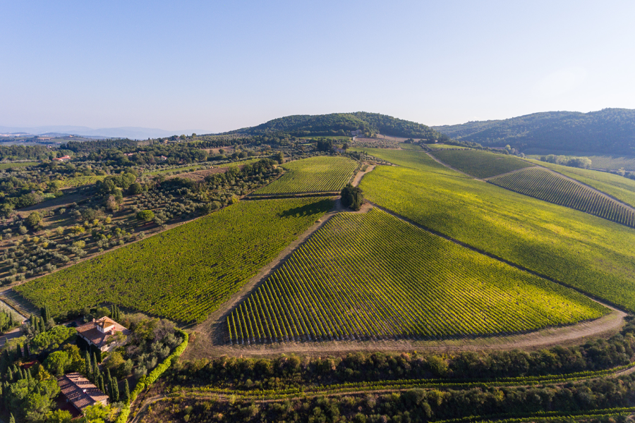 Solaia ist ein Weinberg der Tenuta Tignanello von circa 20 Hektar. Der erste Jahrgang dieses Weins, den Marchesi Antinori produzierte, war 1978 und bestand zu aus 80% aus Cabernet Sauvignon und 20% Cabernet Franc. Nach 1979 wurde ein Anteil von 20% Sangiovese hinzugefügt und es wurden Korrekturen am Verhältnis von Cabernet Sauvignon und Cabernet Franc vorgenommen, bis man zur aktuellen Komposition fand.
