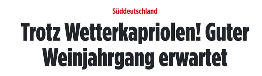 Headline BILD Zeitung