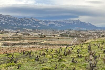 Weinberg statt Keller oder: Die andere Seite der Rioja