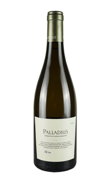 2020 Palladius Doppelmagnum - The Sadie Family - Wine of Origin Swartland